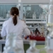 Казахстанские ученые готовы создать вакцину от оспы обезьян