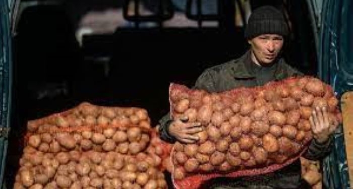 Глава общества «Таджикматлубот» сообщил, когда снизятся цены на лук