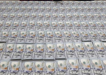 Женщина пыталась провезти из Узбекистана в Таджикистан $90 тыс. Её задержали