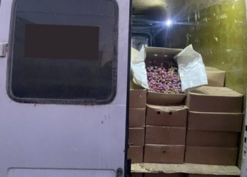 В Кыргызстане изъяли более 4-х тонн таджикского винограда