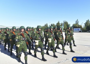 В Термезе проходят совместные узбекско-таджикские учения