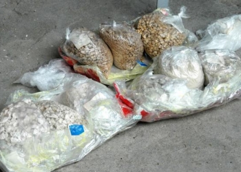 Свыше 3 тонн наркотиков изъято в приграничных с Афганистаном районах Таджикистана
