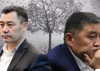 Провокация на таджикско-киргизской границе — отвлекающий маневр от передела власти среди киргизских элит