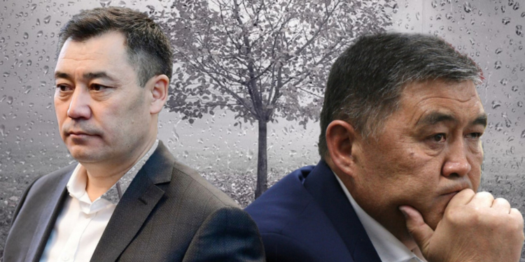 Провокация на таджикско-киргизской границе — отвлекающий маневр от передела власти среди киргизских элит