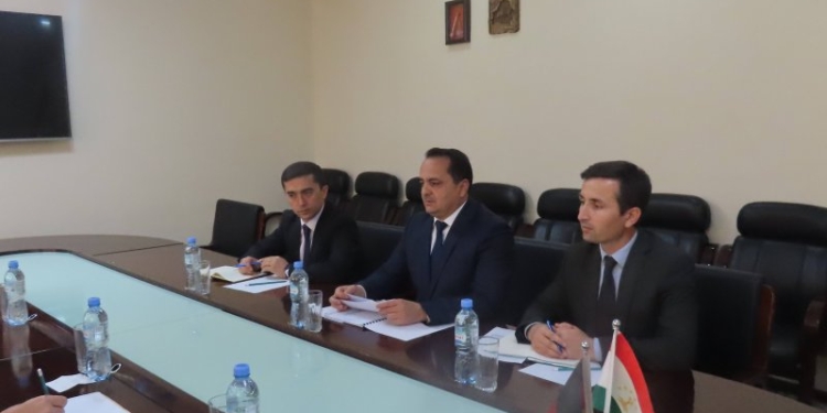Таджикистан и Германия обсудили сотрудничество в сфере сельского хозяйства