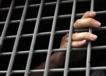 Жительница Турсунзаде приговорена к 9 годам за убийство дяди