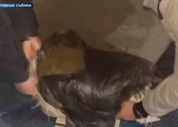 В Узбекистане пресекли ввоз 30 кг наркотиков из Таджикистана