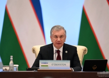 Выступление президента Узбекистана Шавката Мирзиёева на заседании Совета глав государств Организации тюркских государств