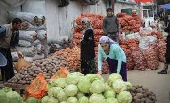 В Душанбе будут организованы предновогодние ярмарки продажи продукции