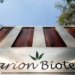 В Узбекистане прекращена продажа всех лекарств производства Marion Biotech