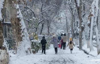 В Узбекистане пожилым и детям рекомендовали не выходить на улицу в аномально холодные дни