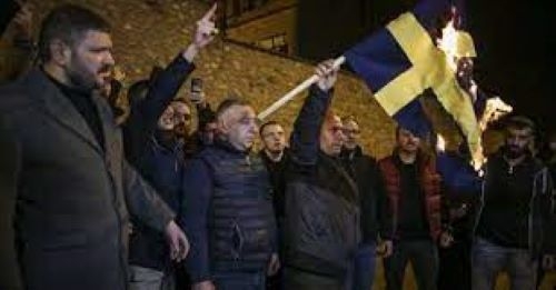 Турция отменила визит министра обороны Швеции из-за сожжения Корана на акции протеста