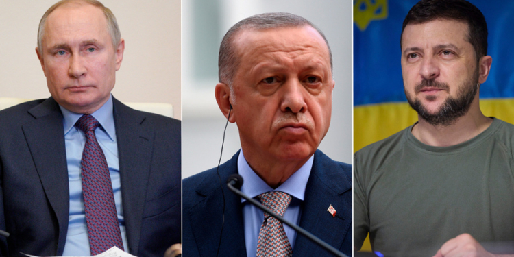 В Турции анонсировали переговоры Эрдогана с Путиным и Зеленским