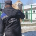 Как живут обитатели Зоопарка в холода (фото)