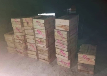 Киргизские пограничники пресекли незаконный ввоз мандаринов и семян овощей из Таджикистана