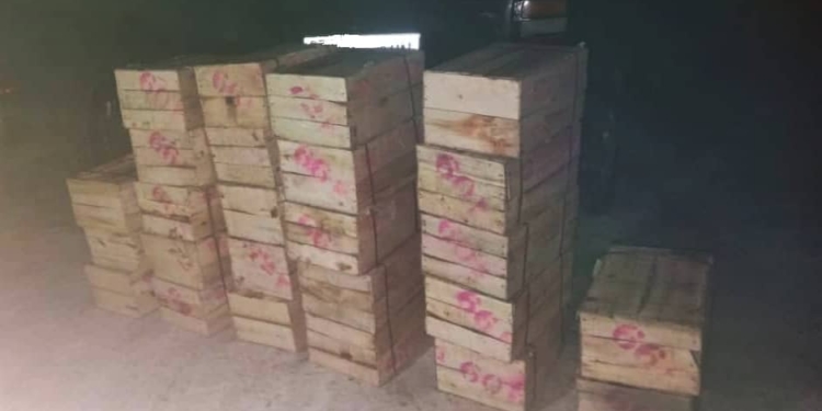 Киргизские пограничники пресекли незаконный ввоз мандаринов и семян овощей из Таджикистана