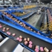 Службы экспресс-доставки Китая обработали более 110 млрд посылок за год