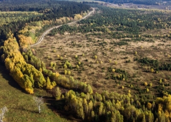 Подсчитан ущерб, нанесенный лесному хозяйству Таджикистана