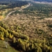 Подсчитан ущерб, нанесенный лесному хозяйству Таджикистана