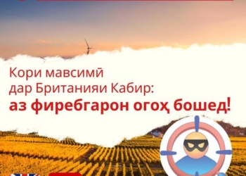 Посольство Великобритании призывает не верить фейковым предложениям о найме сельхозработников