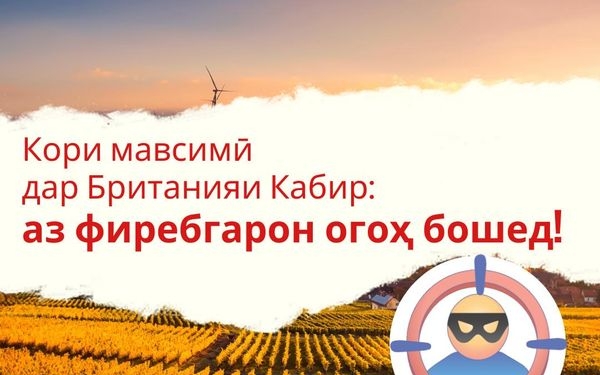 Посольство Великобритании призывает не верить фейковым предложениям о найме сельхозработников
