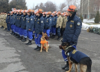 Узбекистан и Кыргызстан направили в Турцию спасателей