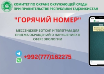 Комитет по охране окружающей среды Таджикистана открыл круглосуточную «горячую линию».