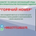 Комитет по охране окружающей среды Таджикистана открыл круглосуточную «горячую линию».