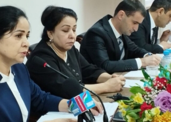 В Таджикском Международном университете языков преподают трое иностранцев и обучаются 586 иностранных студентов