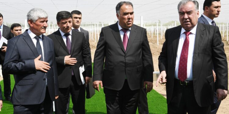 Президент Эмомали Рахмон дал старт закладке шпалерного виноградника в «Боги миллии вахдат» в Бободжон Гафуровском районе