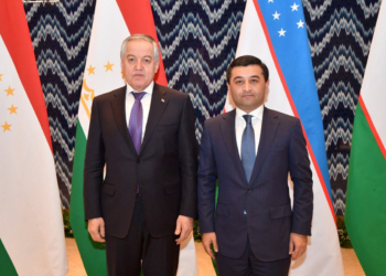 Встреча с главой МИД Узбекистана