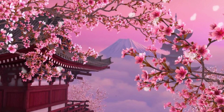 Япония: сезон цветения сакуры в 2023 году может принести экономике страны  $4,7 млрд - Новости Таджикистана - Avesta.tj