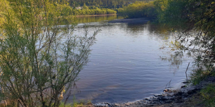 В Душанбе в одном из водоемов обнаружили тело пожилого человека