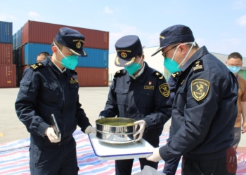 Первая партия зерновых бобовых культур из Узбекистана прибыла в Международный железнодорожный порт Чэнду