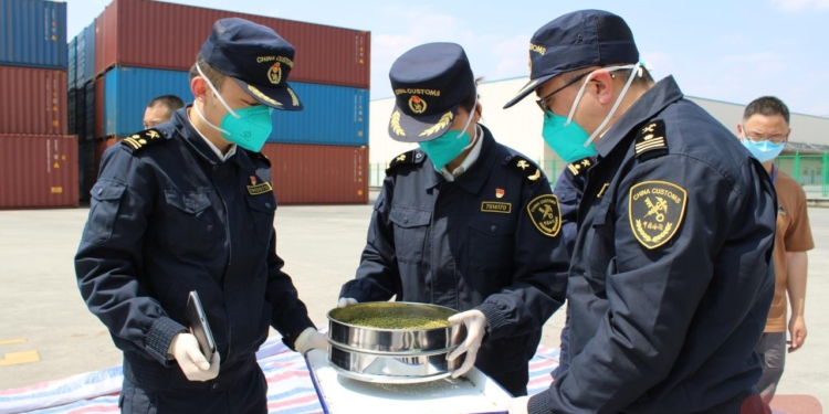 Первая партия зерновых бобовых культур из Узбекистана прибыла в Международный железнодорожный порт Чэнду
