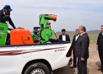 В Канибадаме принимают меры против нашествия саранчи: химикатами обработано более 40 га