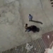 В Душанбе на голову девятилетнего мальчика упала часть отколовшегося фасада здания. В МВД рассказали подробности