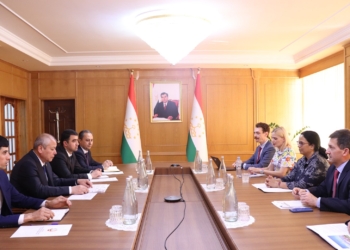 Таджикистан и ВБ: расширение взаимовыгодного сотрудничества