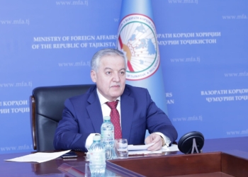 Онлайн встреча Министра иностранных дел Таджикистана с Заместителем Генерального секретаря ЮНЕСКО
