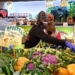 ФАО: мировые цены на продовольствие в апреле выросли впервые за минувшие 12 месяцев
