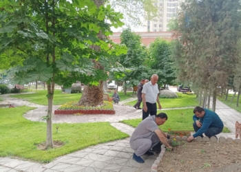 Личный состав городской милиции участвует в озелении города