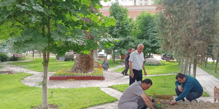 Личный состав городской милиции участвует в озелении города