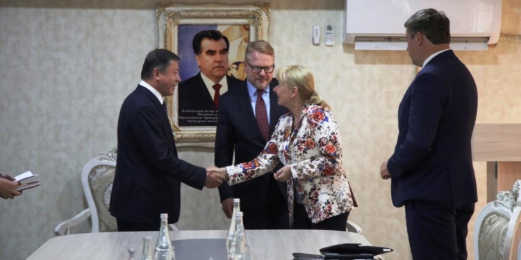 Министр внутренних дел РТ встретился с представителями Европейского Союза