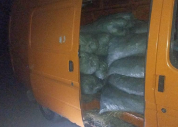 Киргизистанец пытался вывезти две тонны угля в Таджикистан