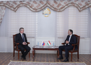 Вручение копий верительных грамот Посла Словакии