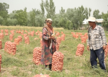 Прямые поставки сельскохозяйственной продукции без посредников важно развивать России и Таджикистану