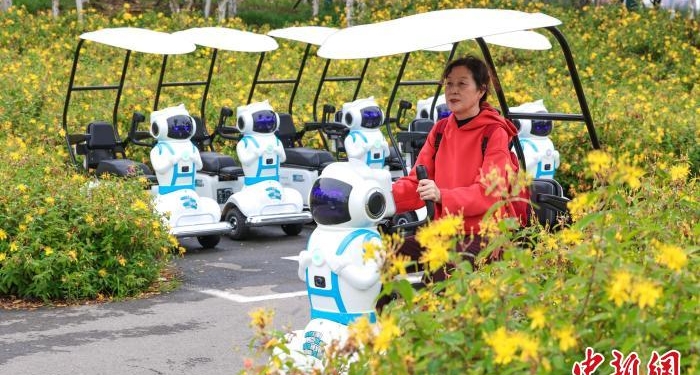 Роботы-экскурсоводы появились в парках Хубэя