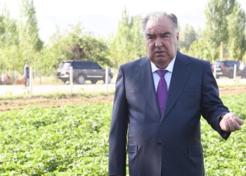 Глава государства посетил ГУ «Лесное хозяйство имени Саидахмада Карима» Ховалингского района