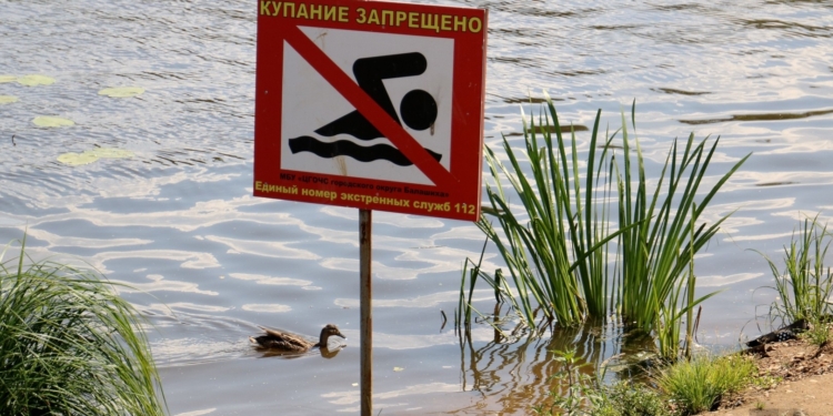 В Согде выявляют несанкционированные пляжи