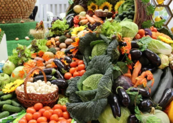 Сегодня в Душанбе состоится выставка-продажа продукции аграриев Худжанда и районов Таджикабад и Джалолиддини Балхи